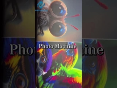 Geniş Format Su Bazlı Yazıcı Logo Dijital Renkli Fotoğraf Baskı Makinesi