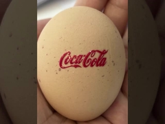 Yükseklik 1062 MM DTF UV Yazıcı Maksimum Genişlik 620 MM Dijital Mürekkep Püskürtmeli Yazıcı